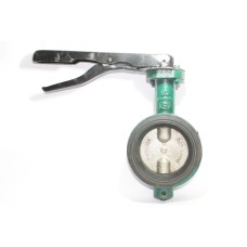 CI Butterfly Valve SS Disc (Racer)